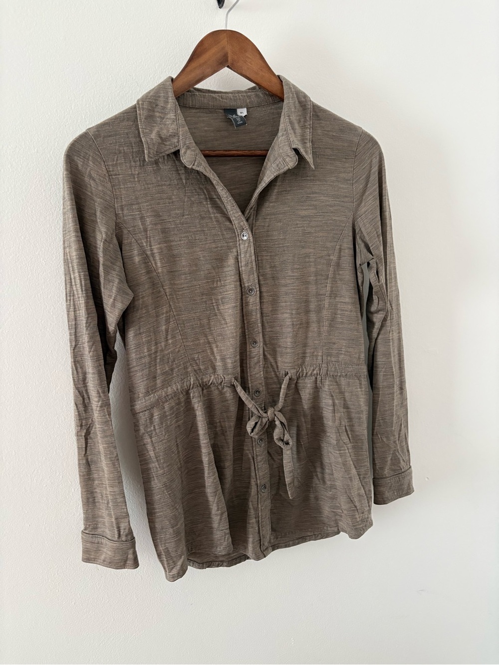 Ibex merino wool longsleeve button down